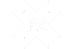 Perform Zone logo